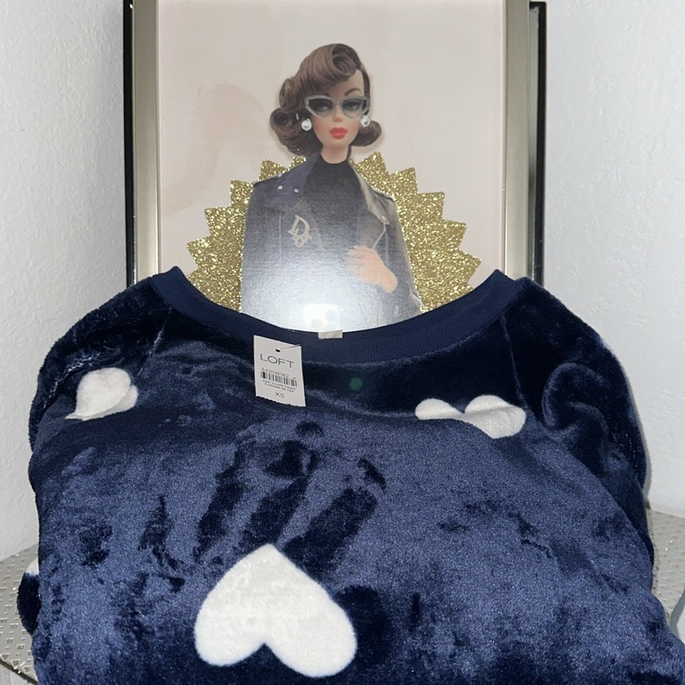 Loft Blue and White Velour Heart Sweatshirt